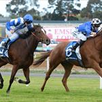 Fast Approaching brings up third straight win at Caulfield. Fast Approaching brings up third straight win at Caulfield.